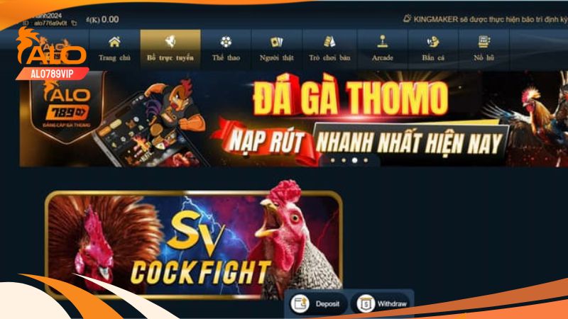 Đá gà cpc1 - sảnh đá gà mang đến những trận đấu siêu hấp dẫn 5 Tìm hiểu chung về đá gà cpc1 tại alo789